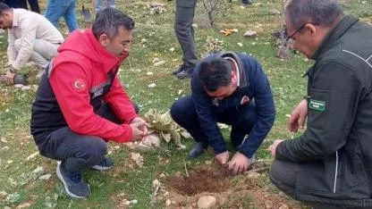 Sultandağı İlçesinde Yüzlerce Fidan Toprakla Buluştu