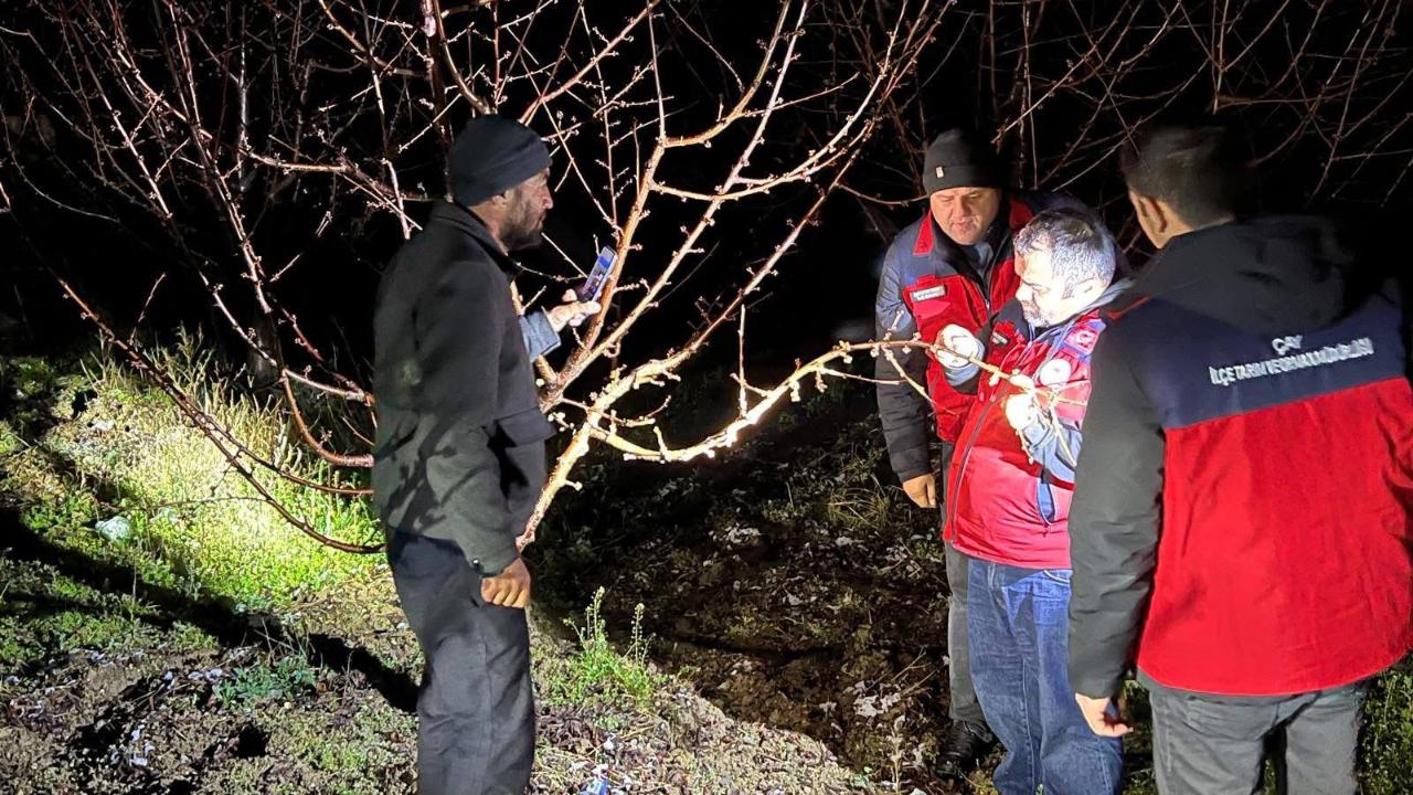 Çay ve Sultandağı’nda Kiraza Zirai Don Vurmasın Diye Nöbet Tuttular