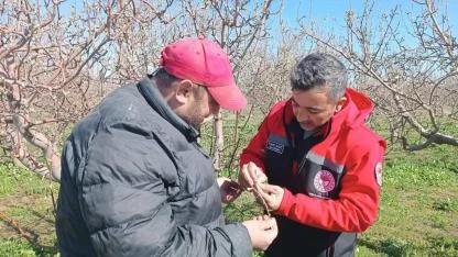 Sultandağı İlçesinde Üretim Sahaları Kontrol Edildi