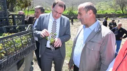 Bölge Bol Bol Yesin Diye Çay İlçesine 3375 Böğürtlen Fidanı Diktiler
