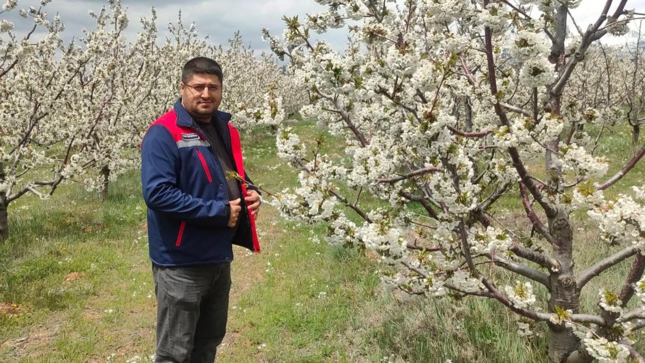 Otomatik Taslak