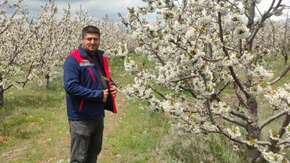 Zirai Don Riskine Karşı Bolvadin’de Saha Mesaisi Sürüyor