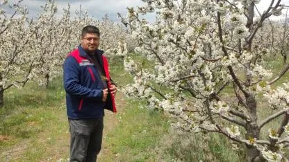 Zirai Don Riskine Karşı Bolvadin’de Saha Mesaisi Sürüyor